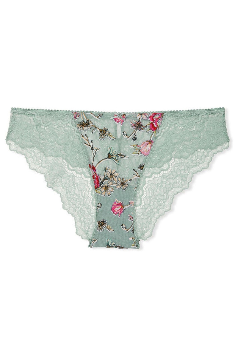 Victoria's Secret Dream Angels Embroidered Cheeky Panties Verde | 915387ZSU