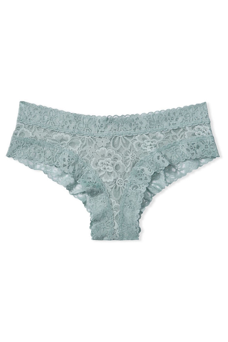 Victoria's Secret The Lacie Encaje Cheeky Panties Almost Nude | 246895LRE